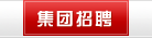 集团招聘